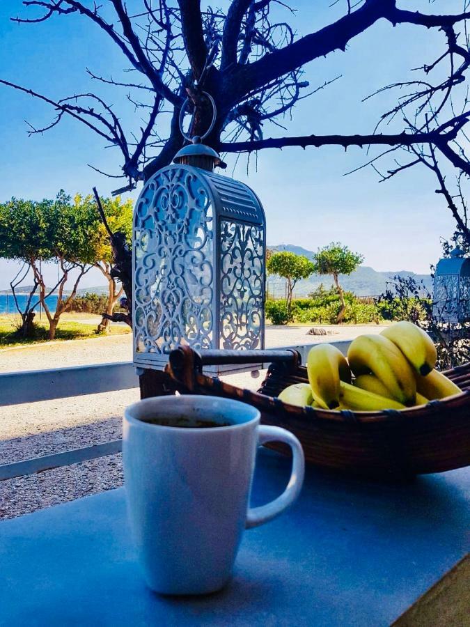 Vravrona Beach Apartments Artemida  Zewnętrze zdjęcie